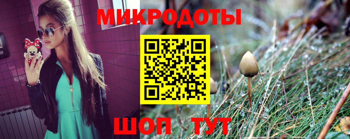 Пугачёв  Псилоцибиновые грибы GOLDEN TEACHER  Вход с VPN 
