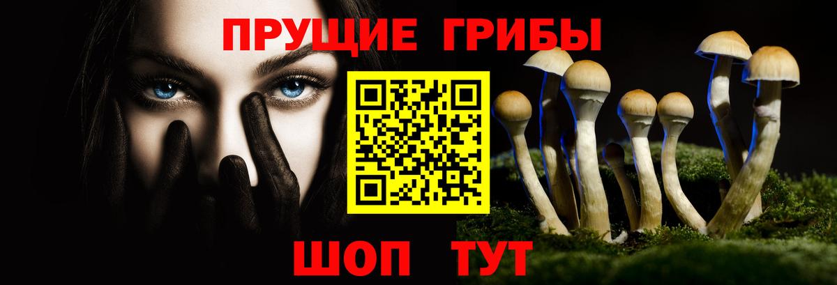 Галлюциногенные грибы GOLDEN TEACHER Пугачёв